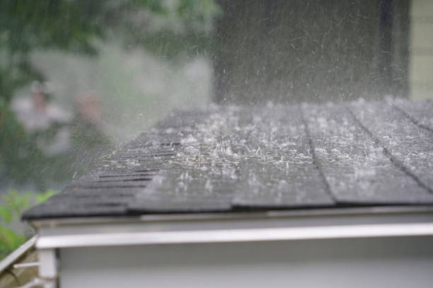 Professional Roofing Services in Springfield, SD
